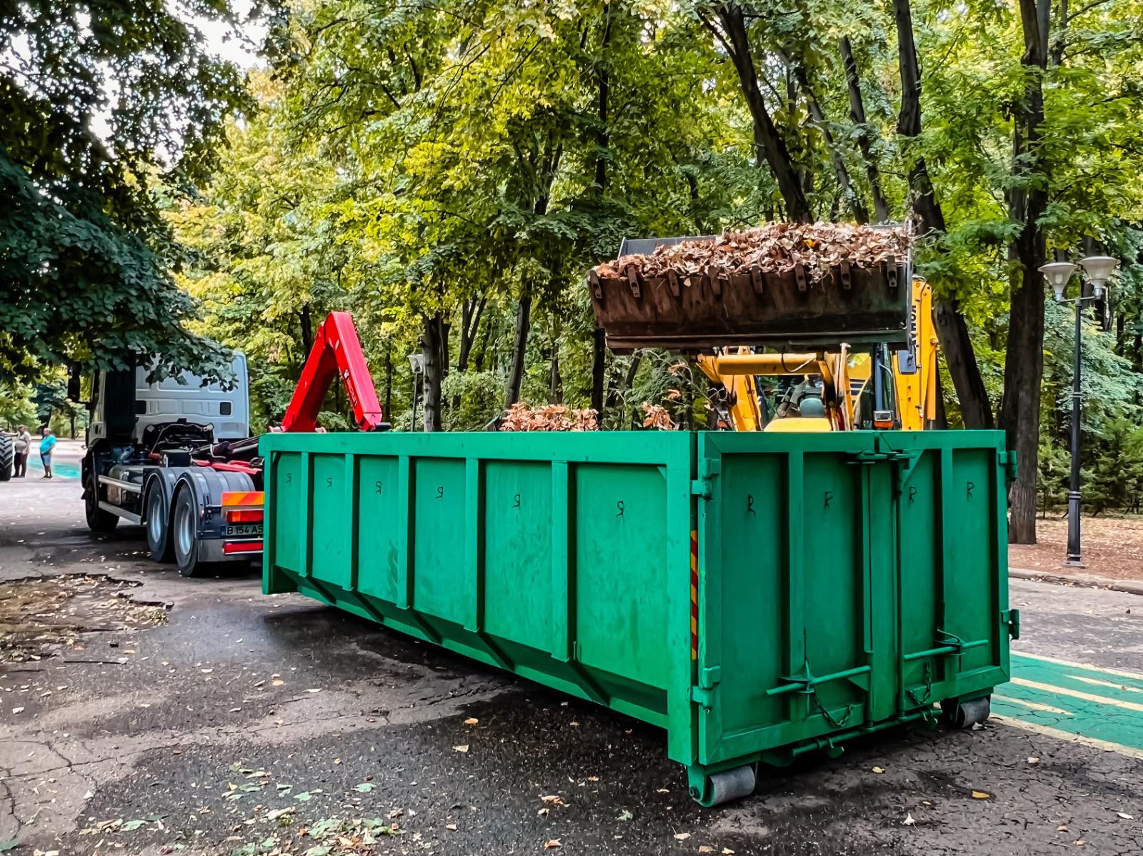 [ad_1] Primarul Sectorului 1 al Municipiului București, Stelian Bujduveanu, a anunțat pe pagina sa de Facebook că a început procesul de curățenie în Parcul Herăstrău