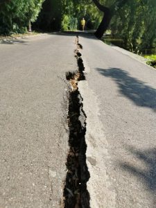 Intervenții de urgență pe o distanță de 30 de metri în aleile periculoase din Parcul Herăstrău / Decizia de amânare a autorizației pentru consolidarea malurilor până în 2024ea noastră”