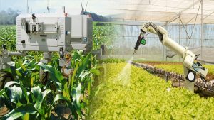 Recolte de grâu cu 20% mai mari datorită inteligenței artificiale