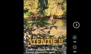 George Simion împărtășește o înregistrare în care cetățeni pakistanezi prind două lebede pe râul Argeș: „Ar trebui expulzați acești oameni?”ea noastră”