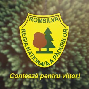 Jean Vişan, directorul interimar recent numit la Romsilva
