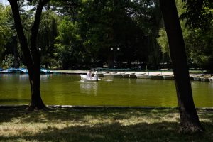 Prognoza meteo pe două săptămâni: schimbări semnificative după frigul de luni dimineață.