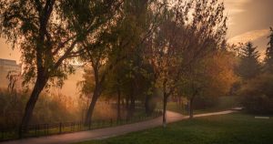 Temperaturi extreme în săptămâna finală de vară: au ajuns la -1,7 grade, căldura revine curând.
