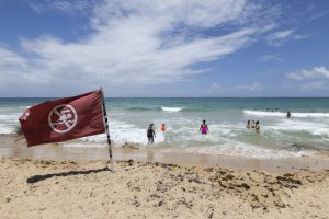 Uragan de clasa 5 în Atlantic. Data impactului lui Erin asupra țărmurilor americane.