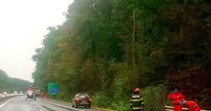 Ipoteză surprinzătoare în accidentul de pe A1: Comportamentul celor doi tineri înainte de impactul cu TIR-ul