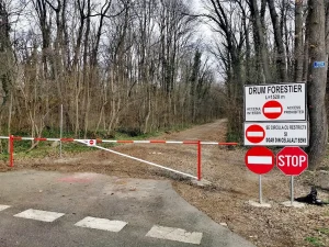 Zeci de asociații solicită oprirea construirii drumului destinat traficului auto în Pădurea Băneasa