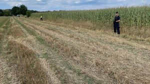 Polonia consideră incidentul cu drona din estul țării o provocare din partea Rusiei în contextul negocierilor de pace.