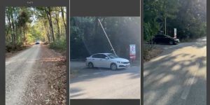 Traficul auto în Pădurea Băneasa a fost deschis unilateral de Federația Greenfield, conform contractului cu Romsilva.