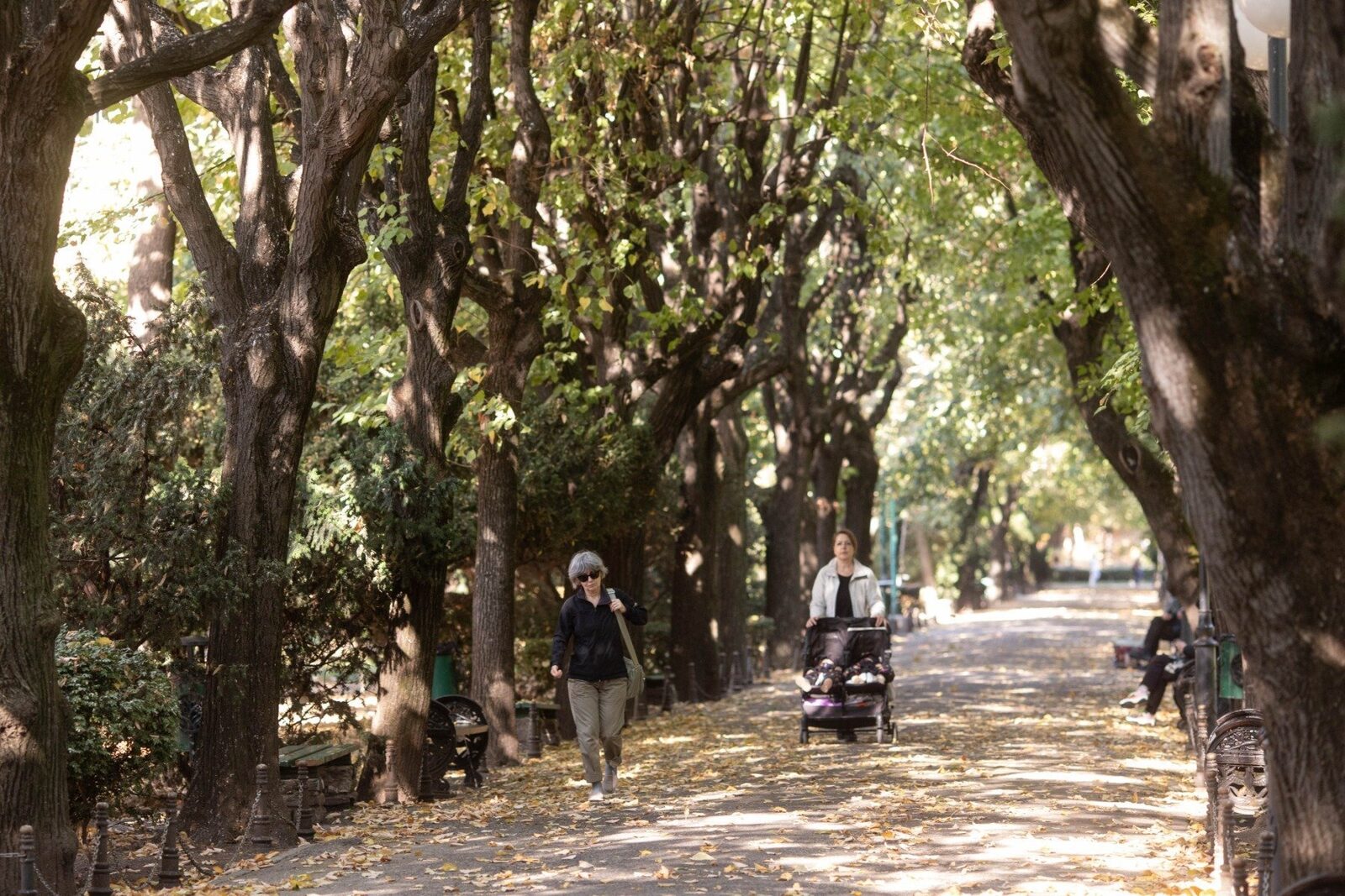 Prognoza meteo pentru săptămâna viitoare: vreme răcoroasă, ploi, vânt și ninsoare pe zonele înalte, cu temperaturi maxime de până la 22 de grade Celsius
