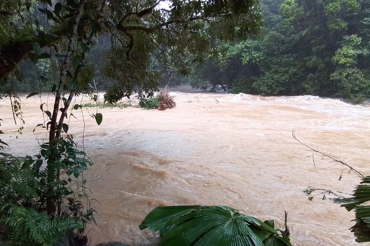 Flood-image.jpg