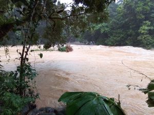 Consiliul din Cairns: Fii Atenți la Condițiile Meteo Umează