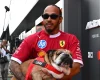 Hamilton20Roscoe.webp.webp
