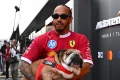 Hamilton20Roscoe.webp.webp