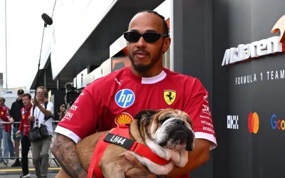 Hamilton20Roscoe.webp.webp