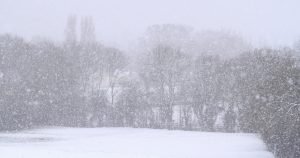 Se anunță primele ninsori. Cum va fi vremea în următoarele 7 zile.