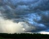 100+ mm in 3 hours: Heavy rain batters parts of southern Ontario