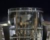 Laver Cup’s Team World and the mirror it holds up to tennis as a sport