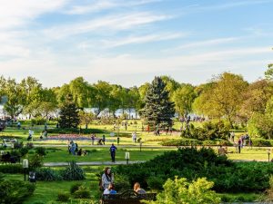 Sugestii de activități pentru weekend în București, Cluj, Timișoara și Iași de la PressOne