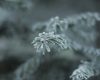 Temperaturi minime sub zero grade Celsius spre finalul săptămânii