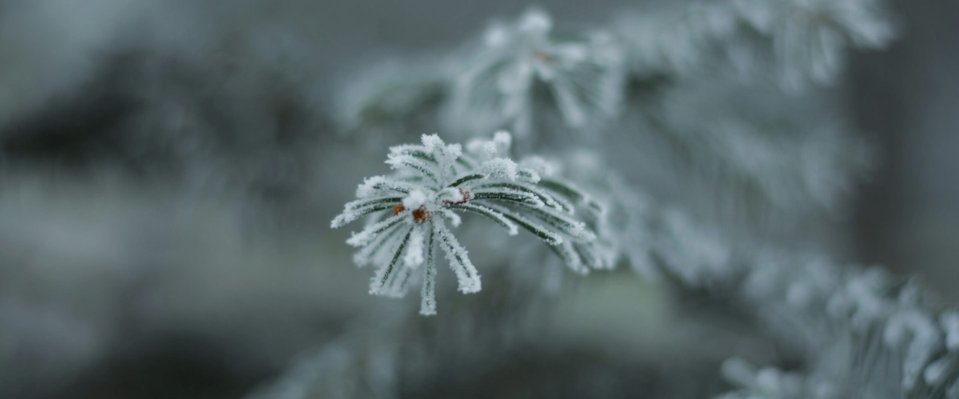 Temperaturi minime sub zero grade Celsius spre finalul săptămânii
