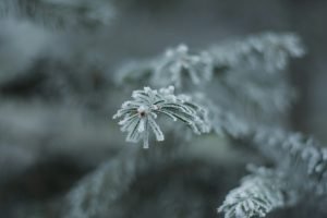 Temperaturi nocturne sub zero grade Celsius la sfârșitul săptămânii