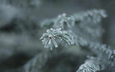 Temperaturi minime sub zero grade Celsius spre finalul săptămânii