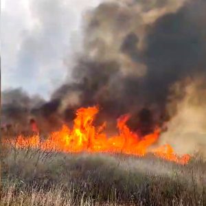 Incendiu cu fum intens în apropierea orașului Ploiești, arderea afectând o suprafață de 80 de hectareea noastră”