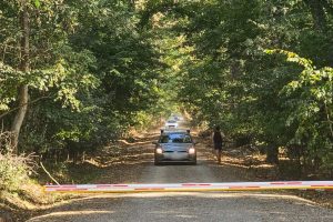 Platforma Civică “Împreună pentru Centura Verde” cere ministrului Mediului să respecte legislația și să oprească imediat traficul auto din Pădurea Băneasa / Alex Găvan: Mesajul nostru este „Pe aici nu se trece!”