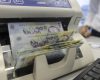 bani-lei-bancnote-cash-numerar-Sursa-foto-Inquam-Photos-Octav-Ganea-6.jpg