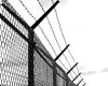 barbed-wire-g01ed0ce60_1280-e1673949380464.jpg