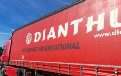 camionrosu.jpg