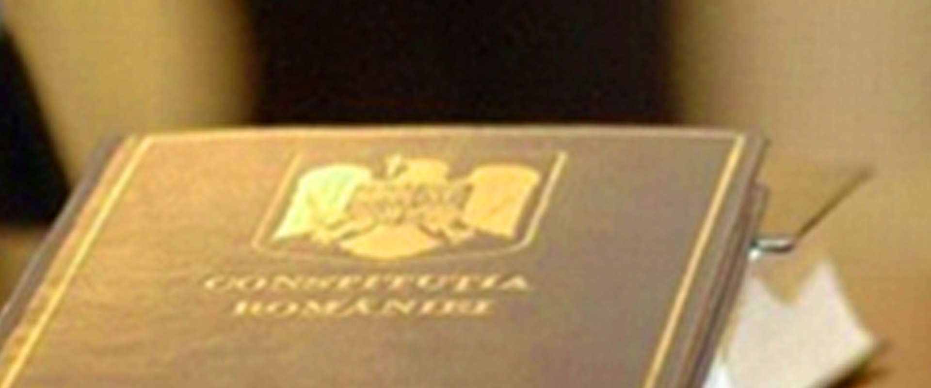 constitutie.png