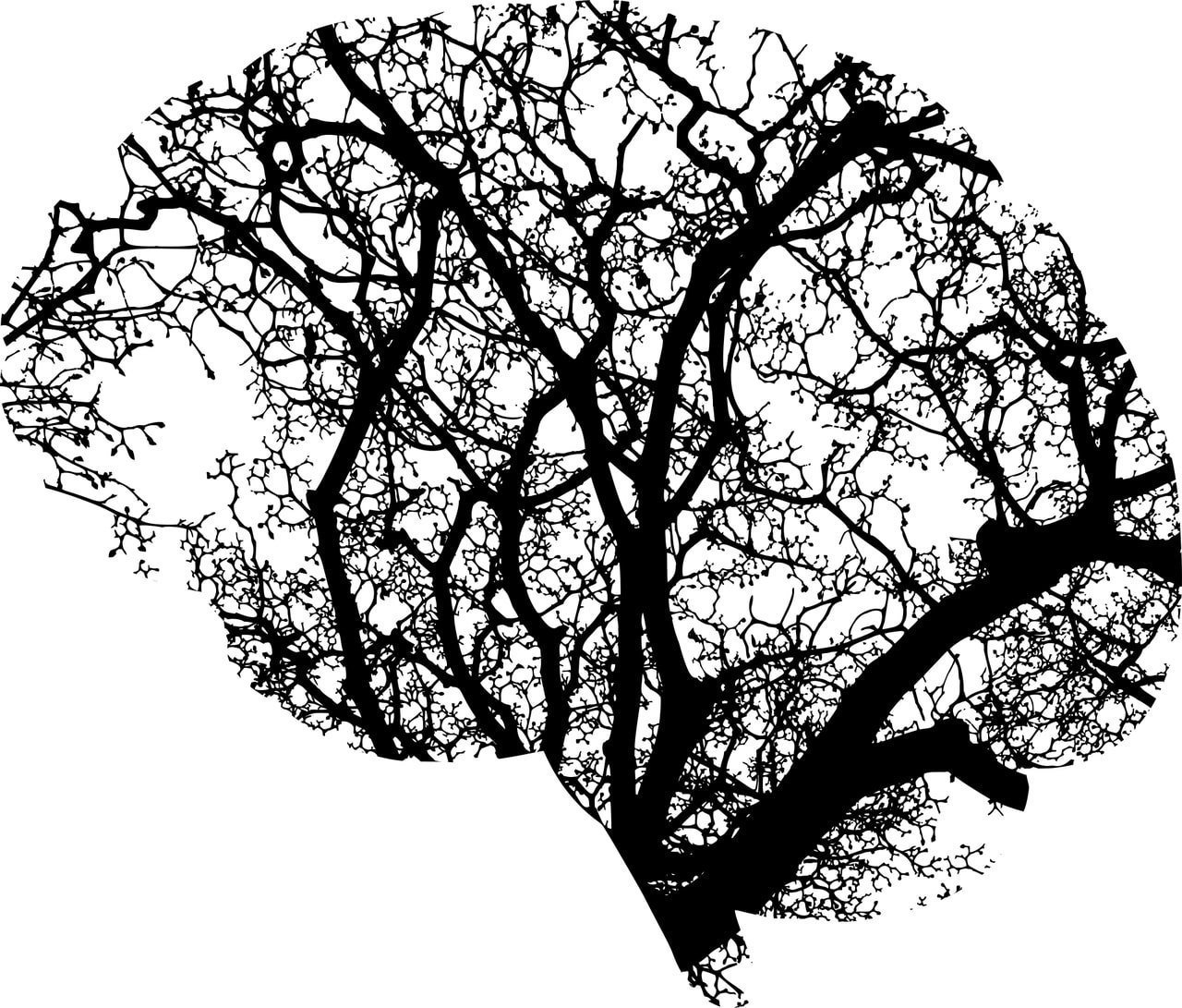 [ad_1] Un studiu recent publicat în revista Scientific Reports aduce în prim-plan posibilitatea utilizării tehnologiei bazate pe inteligență artificială pentru identificarea timpurie a problemelor de sănătate mintală, precum depresia, prin analiza expresiilor faciale