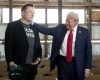 donald-trump-elon-musk.jpg