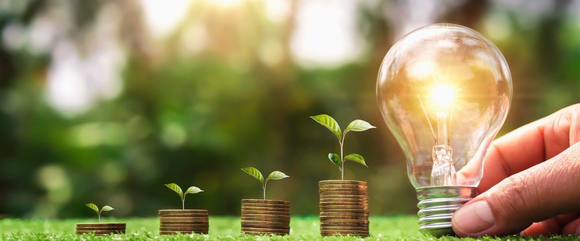 Departamentul pentru Energie al SUA planifică retragerea celor 13 miliarde de dolari de fonduri destinate energiilor regenerabile, inițiativă susținută anterior de administrația Biden