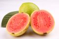 dreamstime_m_46701676.jpg
