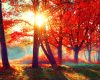 dreamstime_m_77869343.jpg