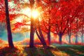dreamstime_m_77869343.jpg