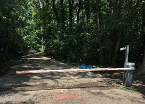 Fostul ministru al Mediului acuză că traseul prin Pădurea Băneasa este deja accesibil vehiculelor unor privilegiați din cartierul Greenfield