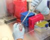 eprubeta-stiinta-analiza-in-vitro.jpeg