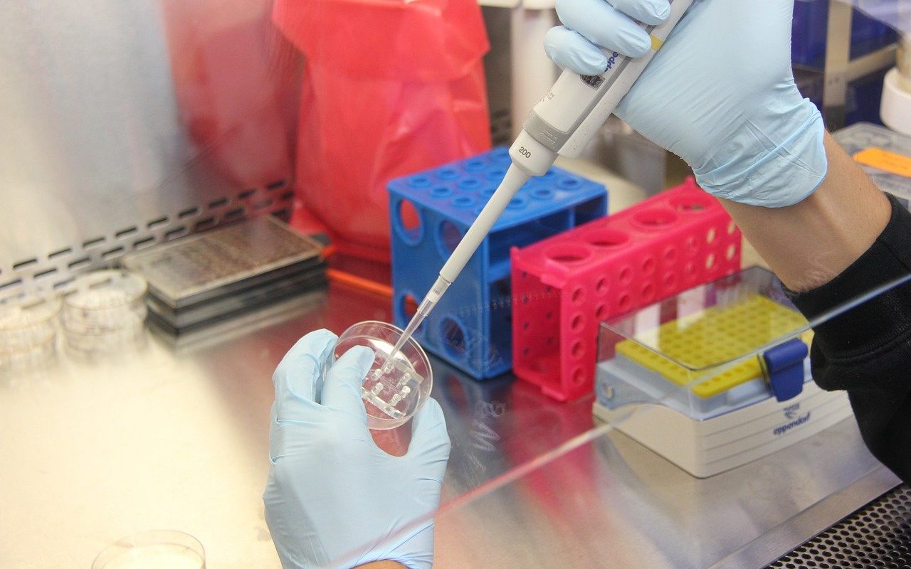 eprubeta-stiinta-analiza-in-vitro.jpeg