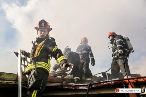 Incendiu la Grădina Zoologică din București, intervenție a pompierilor cu autospeciale multiple.