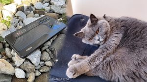 Recenzie ZTE Nubia Neo 3 GT: performanță și caracteristici cheie