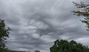 Previziune meteo: Pe joi, ploaie și scădere a temperaturilor începând din zori.