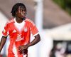 39912748-gibson-nana-adu-3ref.jpg