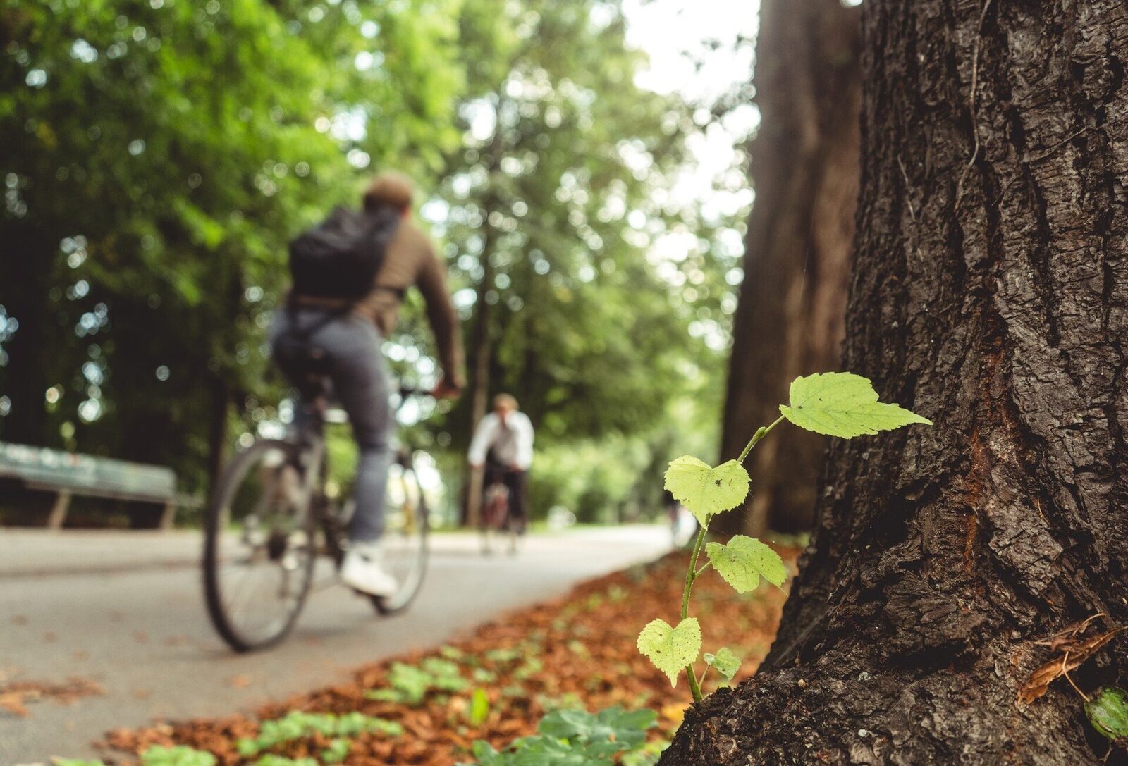 [ad_1] Rețea de piste de biciclete de 100 km va conecta Sectorul 3 cu Popești-Leordeni și Cernica, promovând mobilitatea durabilă O inițiativă ambițioasă pentru infrastructură urbană și recreere Primăria Sectorului 3 intenționează să dezvolte o rețea extinsă de piste pentru biciclete și trasee pietonale de aproximativ 100 de kilometri, care să lege Sectorul 3 de localitățile Popești-Leordeni și Cernica