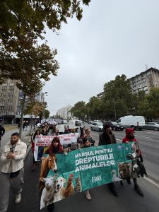 Deputatul Andrei Baciu a participat la Marșul pentru Drepturile Animalelor și a postat despre eveniment pe Facebook
