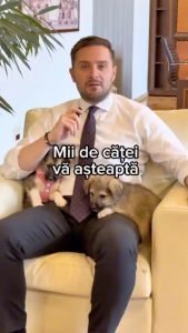 Peste 2000 de animale așteaptă un nou cămin: Mesaj puternic de la Primarul Stelian Bujduveanu de Ziua Internațională a Animalelor