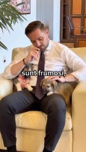 Ziua Internațională a Animalelor: Stelian Bujduveanu atrage atenția asupra situației dramatice din adăposturile ASPA București