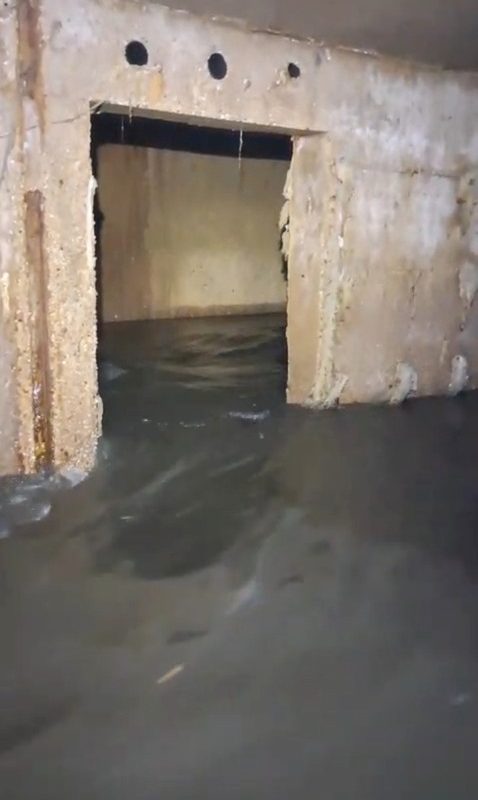 561635118_824155563393371_4363990689679726846_n.jpg